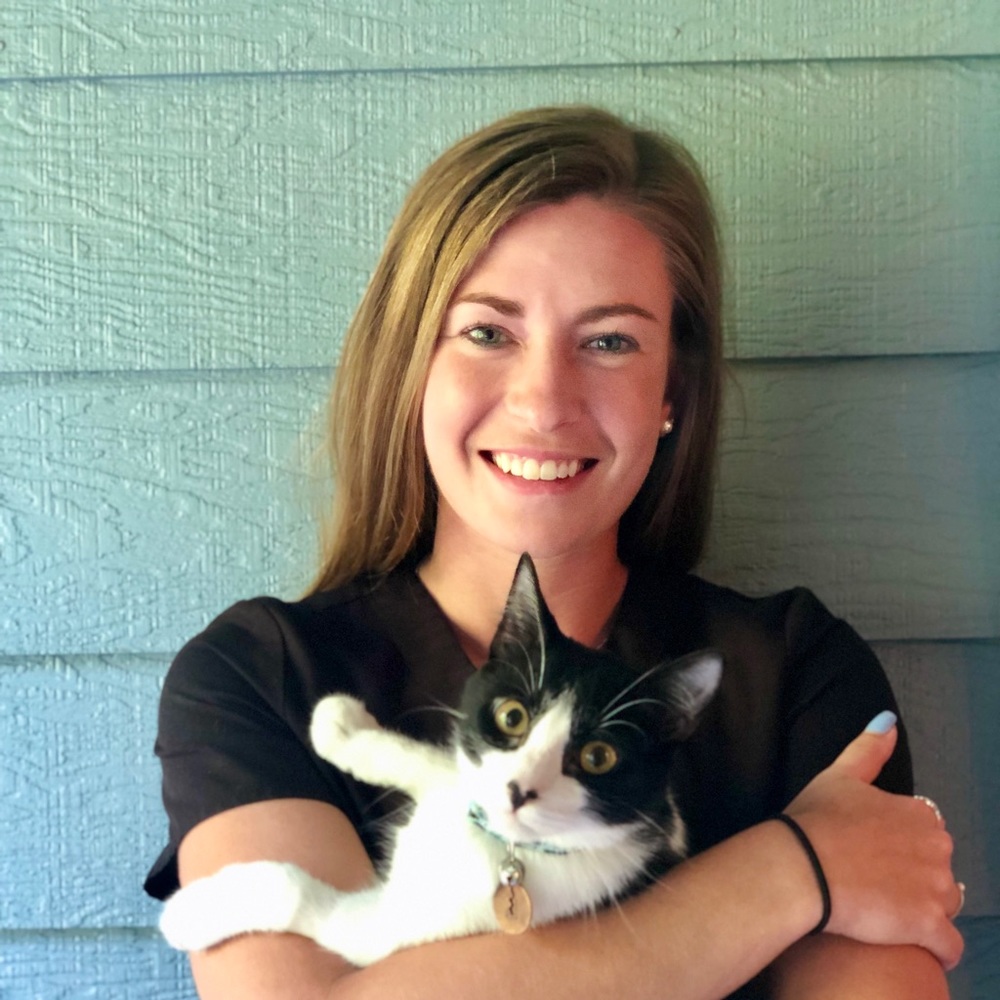 Meet your Posher, Kellen